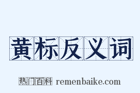 黄标反义词是什么意思的图片